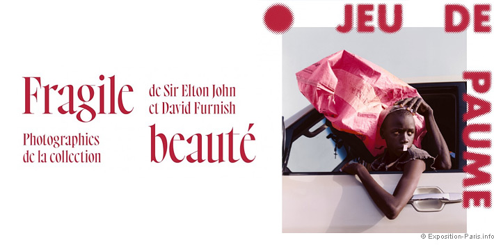 Fragile beauté 2